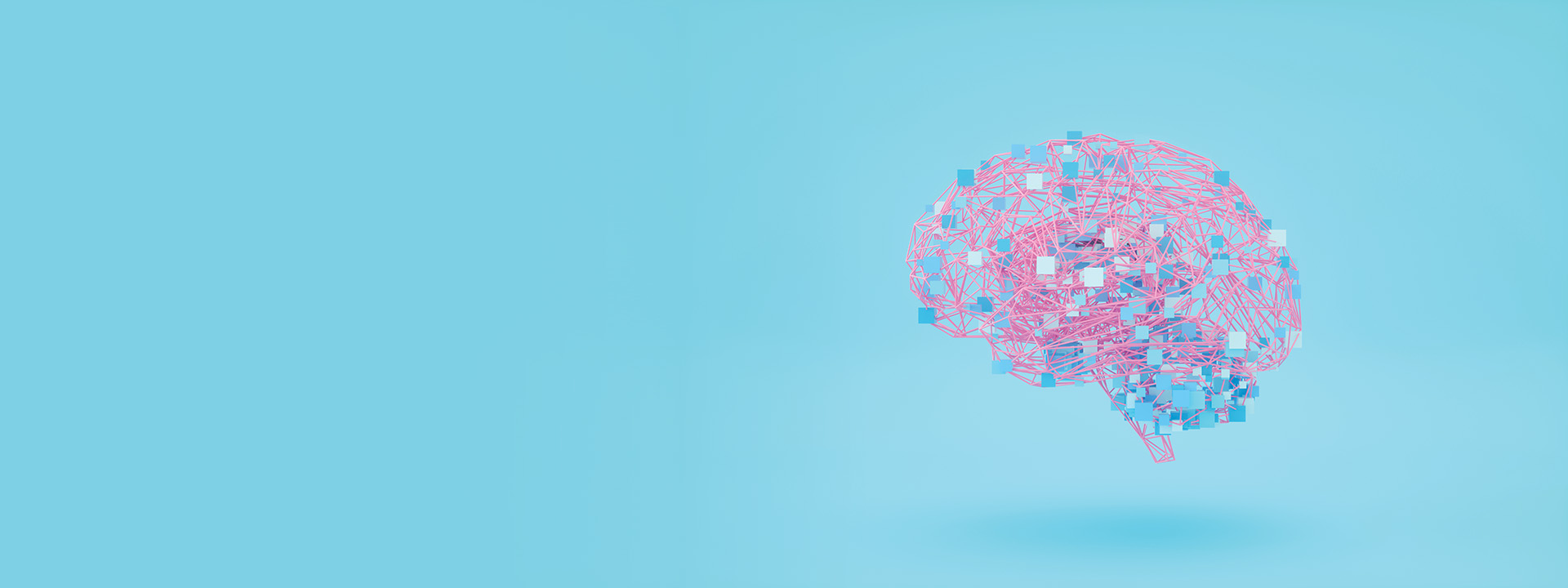 Illustration of a brain structure